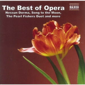 Various - The Best Of Opera i gruppen cdonuppdat / CDON Jazz Klassisk NX hos Bengans Skivbutik AB (4151219)