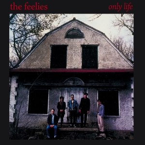 Feelies - Only Life i gruppen CD / Pop-Rock,Annet hos Bengans Skivbutik AB (4154537)