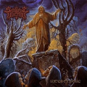 Sentient Horror - Rites Of Gore i gruppen CD / Metal hos Bengans Skivbutik AB (4156343)