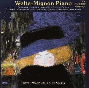 Various - Piano Music At Hotel Waldhaus Sils i gruppen Externt_Lager / Naxoslager hos Bengans Skivbutik AB (4158302)