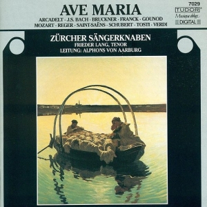 Various - Ave Maria i gruppen VI TIPSER / Julegavetips CD hos Bengans Skivbutik AB (4158325)