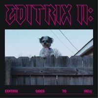 Editrix - Editrix Ii: Editrix Goes To Hell i gruppen VINYL hos Bengans Skivbutik AB (4160654)