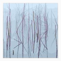 OLHAVA - FROZEN BLOOM i gruppen CD / Metal hos Bengans Skivbutik AB (4161292)