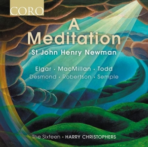 Various - A Meditation i gruppen Externt_Lager / Naxoslager hos Bengans Skivbutik AB (4162274)