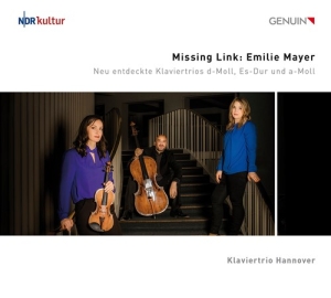 Mayer Emilie - Missing Link i gruppen VI TIPSER / Julegavetips CD hos Bengans Skivbutik AB (4162282)