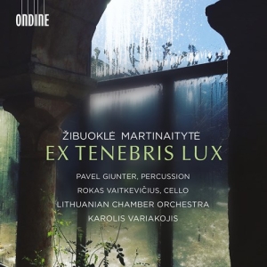 Martinaityte Zibuokle - Ex Tenebris Lux i gruppen VI TIPSER / Julegavetips CD hos Bengans Skivbutik AB (4162286)