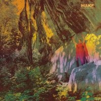 Wake - Thought Form Descent (Digipack) i gruppen VI TIPSER / Julegavetips CD hos Bengans Skivbutik AB (4162425)