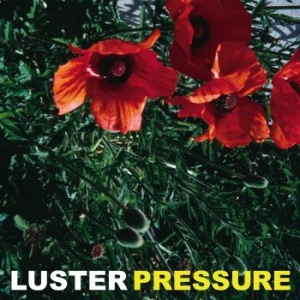 Luster - Pressure i gruppen VINYL / Dansk Musikkk,Pop-Rock hos Bengans Skivbutik AB (4162848)