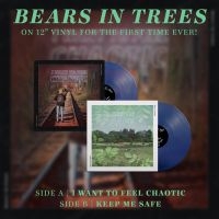 Bears In Trees - Keep Me Safe / I Want To Feel Chaot i gruppen VINYL / Pop-Rock hos Bengans Skivbutik AB (4163043)