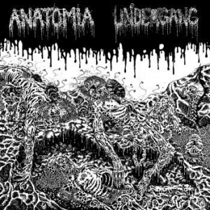 Undergang / Anatomia - Split Lp i gruppen VINYL / Rock hos Bengans Skivbutik AB (4164533)