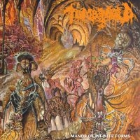 Tomb Mold - Manor Of Infinite Forms (Vinyl) i gruppen VINYL / Metal hos Bengans Skivbutik AB (4171455)