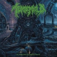 Tomb Mold - Planetary Clairvoyance (Vinyl) i gruppen VINYL / Metal hos Bengans Skivbutik AB (4171456)