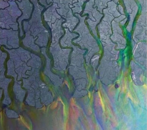 Alt-J - An Awesome Wave i gruppen CD / Rock hos Bengans Skivbutik AB (4171506)