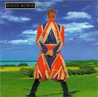 DAVID BOWIE - EARTHLING i gruppen CD / Pop-Rock hos Bengans Skivbutik AB (4176258)