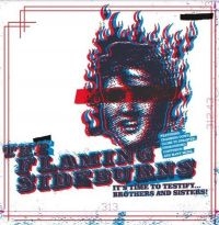 Flaming Sideburns - It's Time To Testifyà Brothers & Si i gruppen VINYL / Finsk Musikkk,Metal,Pop-Rock hos Bengans Skivbutik AB (4179386)