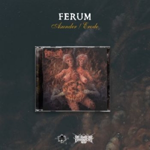 Ferum - Asunder / Erode i gruppen CD / Metal/ Heavy metal hos Bengans Skivbutik AB (4179468)