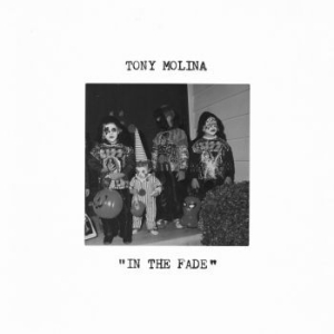 Tony Molina - In The Fade i gruppen VINYL hos Bengans Skivbutik AB (4180175)