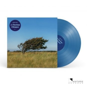 Riis Bjïrn - A Fleeting Glipse (Transparent Blue i gruppen VINYL / Rock hos Bengans Skivbutik AB (4182303)