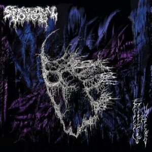 Spectral Voice - Eroded Corridors Of Unbeing (Black i gruppen VINYL / Metal hos Bengans Skivbutik AB (4184575)