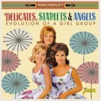 Delicates Starlets & Angles - Evolution Of A Vocal Group i gruppen CD / Pop-Rock hos Bengans Skivbutik AB (4185409)