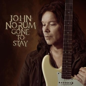 Norum John - Gone To Stay i gruppen VINYL / Vinyl 2022 hos Bengans Skivbutik AB (4186167)