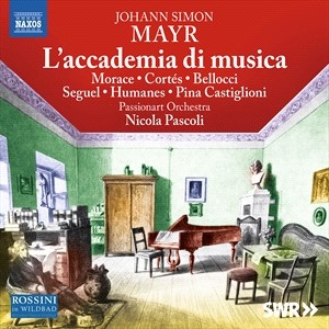 Mayr Johann Simon - L'accademia Di Musica i gruppen VI TIPSER / Julegavetips CD hos Bengans Skivbutik AB (4186671)