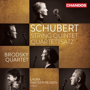 Schubert Franz - String Quintet Quartettsatz i gruppen VI TIPSER / Julegavetips CD hos Bengans Skivbutik AB (4187375)