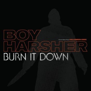 Boy Harsher - Burn It Down i gruppen VINYL / Pop-Rock hos Bengans Skivbutik AB (4189227)