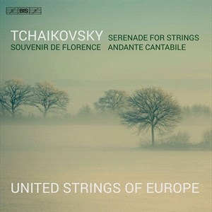 Tchaikovsky Pyotr Ilyich - Serenade i gruppen Musikk / SACD / Klassisk hos Bengans Skivbutik AB (4192137)