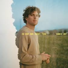 Vance Joy - In Our Own Sweet Time i gruppen -Start Jan R3 hos Bengans Skivbutik AB (4192787)