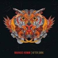 Homm Markus - After Dark i gruppen VINYL / Pop-Rock hos Bengans Skivbutik AB (4198719)