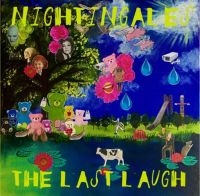 Nightingales - Last Laugh i gruppen VINYL / Pop-Rock hos Bengans Skivbutik AB (4200017)