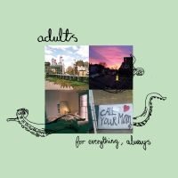 Adults - For Everything, Always i gruppen VINYL / Pop-Rock hos Bengans Skivbutik AB (4200321)