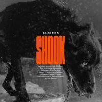 Algiers - Shook i gruppen VINYL hos Bengans Skivbutik AB (4201706)