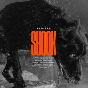 Algiers - Shook i gruppen CD hos Bengans Skivbutik AB (4201709)