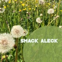 Smack Aleck - Unavoidable i gruppen CD / Jazz hos Bengans Skivbutik AB (4208155)