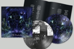 Dissection - Somberlain (2Xpic-Disc + 8 Page Boo i gruppen Minishops / Dissection hos Bengans Skivbutik AB (4208439)