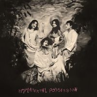 Immaterial Possession - Immaterial Possession (Transparent i gruppen VINYL / Pop-Rock hos Bengans Skivbutik AB (4213650)