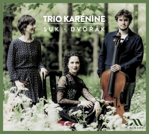 Trio Karenine - Suk - Dvorak i gruppen CD / Klassisk,Annet hos Bengans Skivbutik AB (4216835)