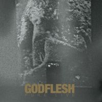 Godflesh - Pure: Live (2 Lp Splatter Vinyl) i gruppen VINYL / Pop-Rock hos Bengans Skivbutik AB (4218857)