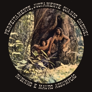 Rubinho E Mauro Assumpoao - Perfeitamente, Justamento Quan i gruppen CD / World Music hos Bengans Skivbutik AB (4218939)