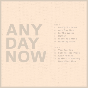 Krezip - Any Day Now i gruppen VINYL / Pop-Rock hos Bengans Skivbutik AB (4222169)