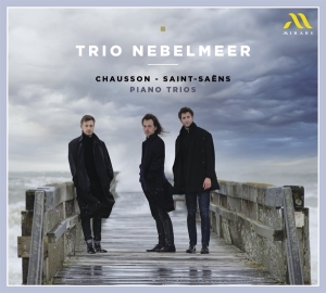 Trio Nebelmeer - Chausson - Saint-Saens Piano Trios i gruppen CD / Klassisk,Annet hos Bengans Skivbutik AB (4224875)