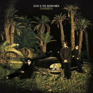 Echo And The Bunnymen - Evergreen i gruppen CD / Pop-Rock hos Bengans Skivbutik AB (4225614)