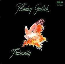 FRATERNITY - Flaming Galah (2Lp/Green Vinyl) (Rsd) i gruppen VI TIPSER / Record Store Day / RSD2023 hos Bengans Skivbutik AB (4227901)