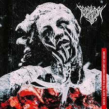 Predatory Void - Seven Keys to the Discomfort of Being i gruppen VINYL / Metal hos Bengans Skivbutik AB (4230229)