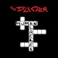 Selecter The - Human Algebra i gruppen VINYL / Metal,Pop-Rock hos Bengans Skivbutik AB (4232946)