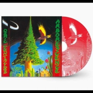 Ozric Tentacles - Arborescence i gruppen CD / Pop-Rock hos Bengans Skivbutik AB (4233227)