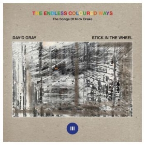 David Gray / Stick In The Wheel - The Endless Coloured Ways: The Song i gruppen Minishops / David Gray hos Bengans Skivbutik AB (4233615)