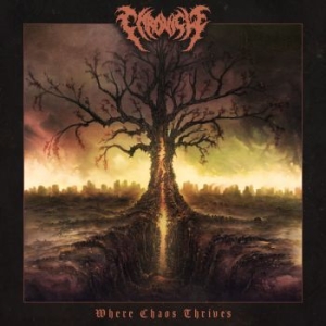 Chronicle - Where Chaos Thrives i gruppen CD / Metal hos Bengans Skivbutik AB (4233637)